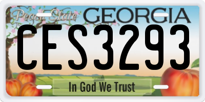 GA license plate CES3293