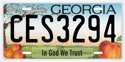 GA license plate CES3294