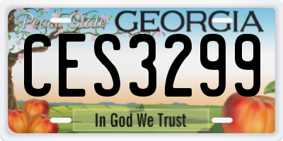 GA license plate CES3299