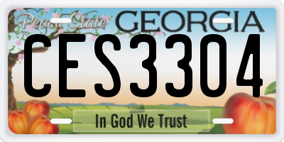 GA license plate CES3304