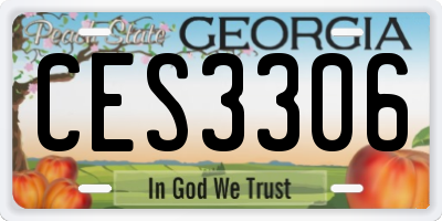 GA license plate CES3306