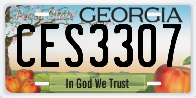 GA license plate CES3307