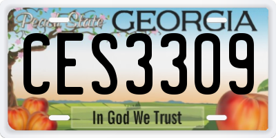 GA license plate CES3309