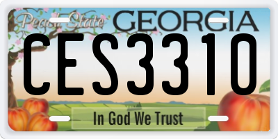 GA license plate CES3310