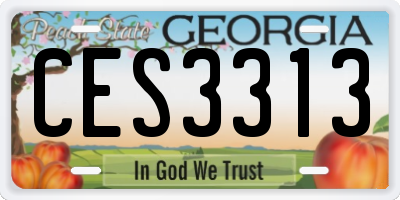 GA license plate CES3313