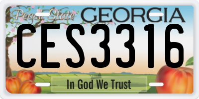 GA license plate CES3316