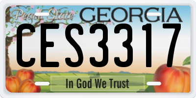 GA license plate CES3317