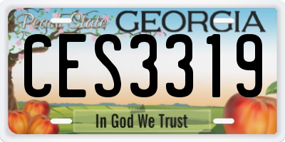 GA license plate CES3319