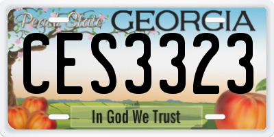 GA license plate CES3323