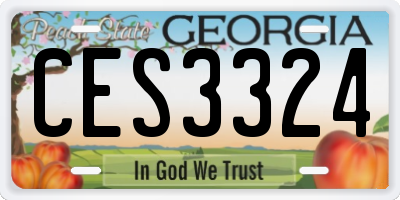 GA license plate CES3324