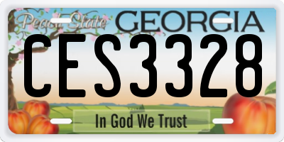 GA license plate CES3328