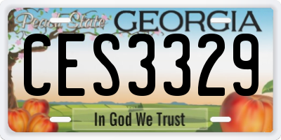 GA license plate CES3329