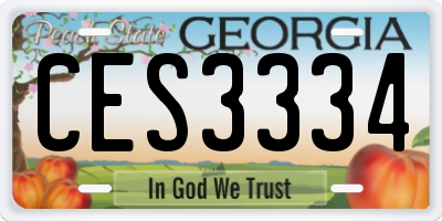 GA license plate CES3334