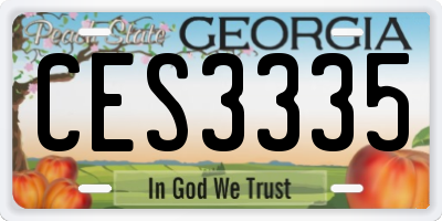 GA license plate CES3335