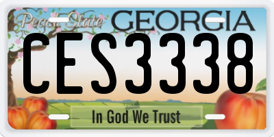 GA license plate CES3338