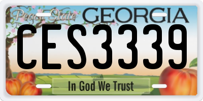 GA license plate CES3339