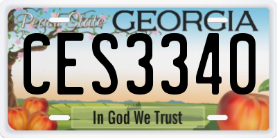 GA license plate CES3340