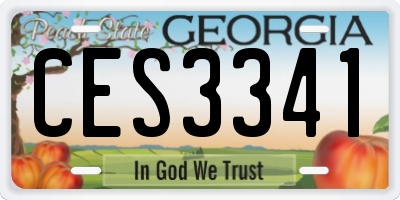 GA license plate CES3341