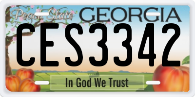 GA license plate CES3342