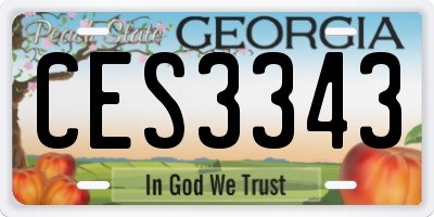 GA license plate CES3343