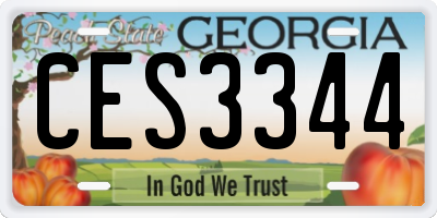 GA license plate CES3344