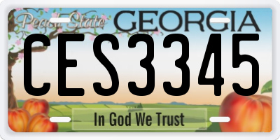 GA license plate CES3345