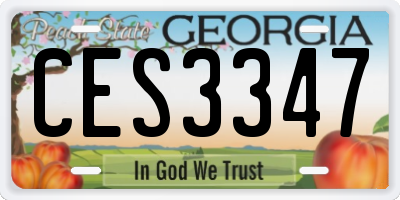 GA license plate CES3347