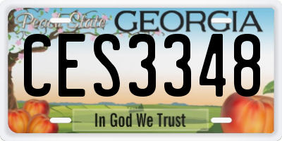 GA license plate CES3348