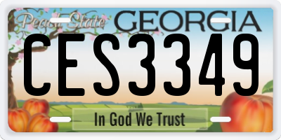 GA license plate CES3349