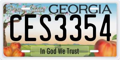 GA license plate CES3354