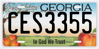 GA license plate CES3355