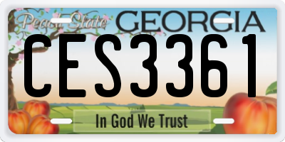 GA license plate CES3361
