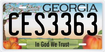 GA license plate CES3363
