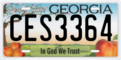 GA license plate CES3364