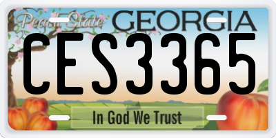 GA license plate CES3365