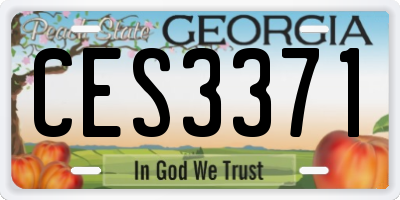 GA license plate CES3371