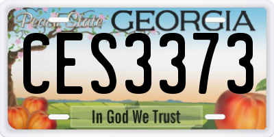 GA license plate CES3373