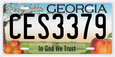 GA license plate CES3379