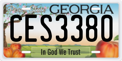 GA license plate CES3380