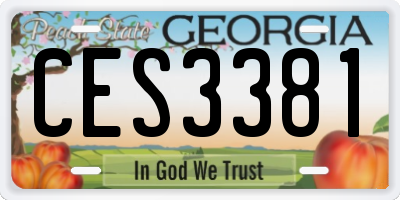 GA license plate CES3381