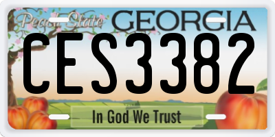 GA license plate CES3382