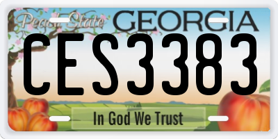 GA license plate CES3383