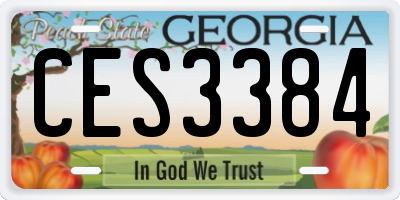 GA license plate CES3384