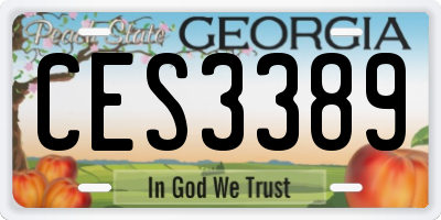 GA license plate CES3389
