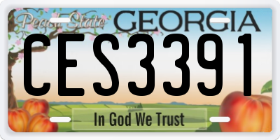 GA license plate CES3391