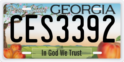 GA license plate CES3392