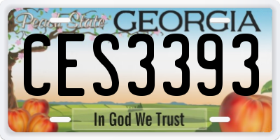 GA license plate CES3393