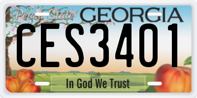 GA license plate CES3401