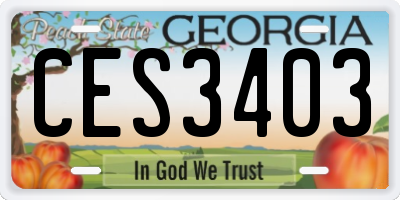 GA license plate CES3403