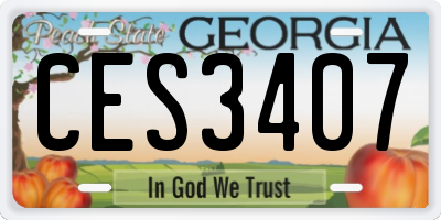 GA license plate CES3407
